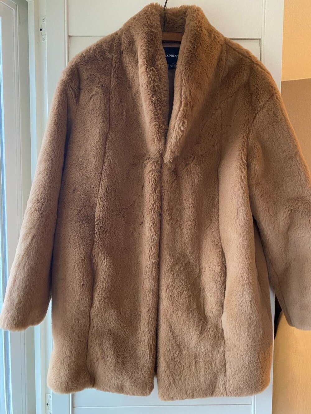 Express Faux Fur Coat